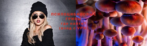 гашик Алексин
