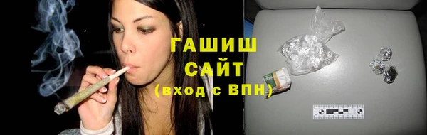 гашик Алексин