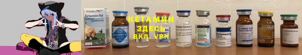 гашик Алексин