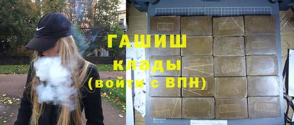 гашик Алексин