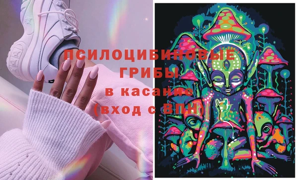 гашик Алексин
